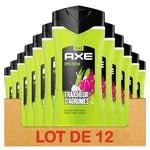 Axe Gel Douche Homme 5 en 1 Epic Fresh, Parfum Ananas & Pamplemousse, 24H Hydratant, 87% D'Ingrédients d'Origine Naturelle - Lot de 12 de 250ml