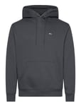 Tommy Jeans Tjm Reg S Flag Fleece Hoodie Grå