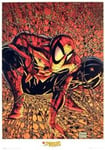 Empire 11732 Poster Spiderman Toile 61 x 91,5 cm
