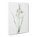 Paradise Lily By Pierre Joseph Redoute Vintage Canvas Wall Art Print Ready to Hang, Framed Picture for Living Room Bedroom Home Office Décor, 24x16 Inch (60x40 cm)