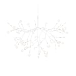 Heracleum III, Suspended Large White