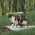 PetSafe Easy Walk Cat Harness Blå - L
