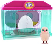 LITTLE LIVE PETS Little Live Pets - Surprise Chick Hatching House Playset