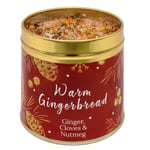 WARM GINGERBREAD ginger cloves nutmeg Best Kept Secrets Scented Tin Candle Yummy