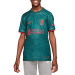 Nike Liverpool F.C. Unisex 2022/23 Season Official Third Kit Jersey, Dk Atomic Teal/Rio Teal/Siren Red, S UK