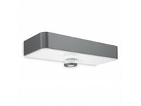 Steinel Xsolar Sol-O Sensor, Väggbelysning För Utomhusbruk, Antracit, Vit, Plast, Ip44, Iii, Ik03