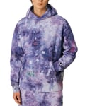 Champion Hooded Sweatshirt - Purple