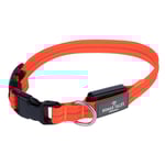 Nomad Tales Spirit USB LED nylonhalsband, orange - Storlek S: halsumfang 34-41 cm