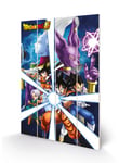 Dragon Ball Z - God Of Destruction - Impression Sur Bois 40x59cm