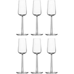 Essence Champagneglas 21 cl 6-pack