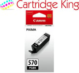 Canon PGI-570 Printer Ink Cartridge