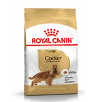 Royal Canin Cocker Adult