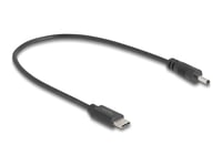 Delock - Strömkabel - 24 Pin Usb-C (Hane) Till Växelströmsjack 3,0 X 1,1 Mm (Hane) - 5 V - 27 Cm - Svart