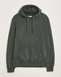 Colorful Standard Classic Organic Hood Midnight Forest