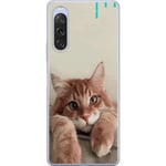 Sony Xperia 10 V Genomskinligt Skal Katt