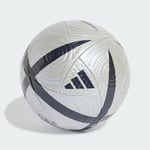 adidas Roteiro Pro Ball Unisex Adult