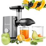 Slow Masticating Juicer, AAOBOSI Juicer Machines with Quiet Motor/Reverse Function/Easy to Clean Brush, Cold Press Juicers Whole Fruit and Vegetable for Delicate Crushing without Filtering, Gray