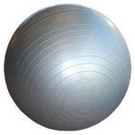 Gymball 65cm m/pumpe