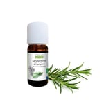 Rosemary Camphor Organic Essential Oil, 10 ml