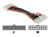 Delock - Strömadapter - 24-Pin Atx (Hona) Till 20-Pin Atx (Hane) - 15 Cm