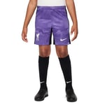 Nike Unisex Kids Shorts LFC Y NK DF Stad Short 3R, Space Purple/Court Purple/White, DX9856-567, S
