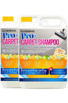 Carpet Cleaning Shampoo Odour Remover Citrus Splash Fragrance 2 x 5L