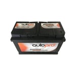 Batterie Autopro 1er prix smf AR-LB4 80AH 700 amps 315x175x175 +d