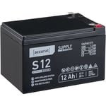 Supply S12 12V Batterie Décharge Lente 12Ah agm Solaire au plomb 151 x 98 x 95 mm - Accurat