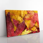 Big Box Art Autumn Leaves Vol.1 Painting Canvas Wall Art Print Ready to Hang Picture, 76 x 50 cm (30 x 20 Inch), Gold, Brown, Red