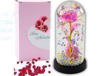 Eternal Rose I Kupol Med Led-Belysning Rosa Med Hjärta Och Kulor