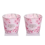 Dekohelden24 Lot de 2 bougies parfumées pour photophores en verre - Parfum Cherry Blossom Sakura et Cherry Blossom Sakura Rose - 8 x 8 x 8 cm - 115 g par bougie