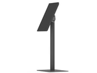 Sms Smart Media Solutions K101-001-2, 30 Kg, 116,8 Cm (46"), 100 X 100 Mm, 200 X 200 Mm, 0 - 35°