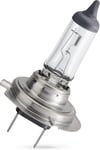 Lampa, H7, 1-pack ProMeister