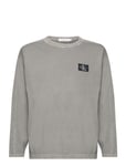 Mineral Dye Badge Ls T-Shirt *Villkorat Erbjudande T-shirts Long-sleeved Grå Calvin Klein