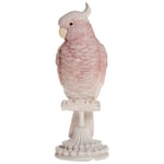 Chic Antique Denmark Papegoja på Fot Dekoration Rosa S