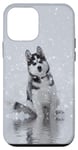 Coque pour iPhone 12 mini Aventure hivernale en husky sibérien dans la nature