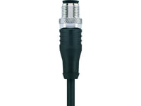 Escha 8047008 Sensor, Ställdonsanslutning, M12-Kontakt, Rak 5,00 M Stiftnummer (Rj): 12 1 St