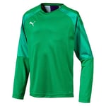 PUMA Cup GK Jersey LS Jr