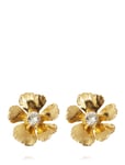 Anem Earrings Accessories Jewellery Earrings Studs Gold Caroline Svedbom