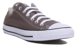 Converse All Star Ox All Star Low Top Trainer In Charcoal Size UK 6 - 12