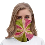 Joy Pink Green Anthracite Fantasy Flower Fractal Unisex Multifunctional Bandana Neck Gaiter Tube Headwear headkerchief, Face Mask Bandana Headband for Men Women Face Scarf