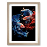 Siamese Fighting Fish Gothic No.3 Framed Wall Art Print, Ready to Hang Picture for Living Room Bedroom Home Office, Oak A2 (48 x 66 cm)
