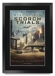HWC Trading FR A3 The Maze Runner Scorch Trials 2 Gifts Printed Poster Signed Autograph Picture for Movie Memorabilia Fans - A3 Framed