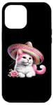 iPhone 15 Plus Pink Cat Mexican Hat Cinco De Mayo Funny Case