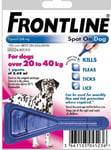Frontline Spot On Flea Treatment Large Dogs 20-40kg 1 Treatment, Free Post,,