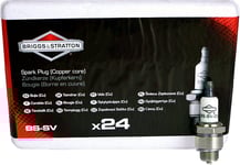 Tändstift för gräsklippare Briggs&Stratton SV; 24 st.