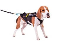 Dog Copenhagen Non-Stop Harnais de Canicross Free Motion Taille T5