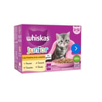 Whiskas sachets fraOcheur les festins à la volaille en gelée pour chaton 4 variétés 12x85g