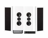 WiiM Amp, SC4B &amp; 2 par mattvita DLS Flatbox XL