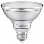 Aneta Lighting LED PAR30 75 E27 10W